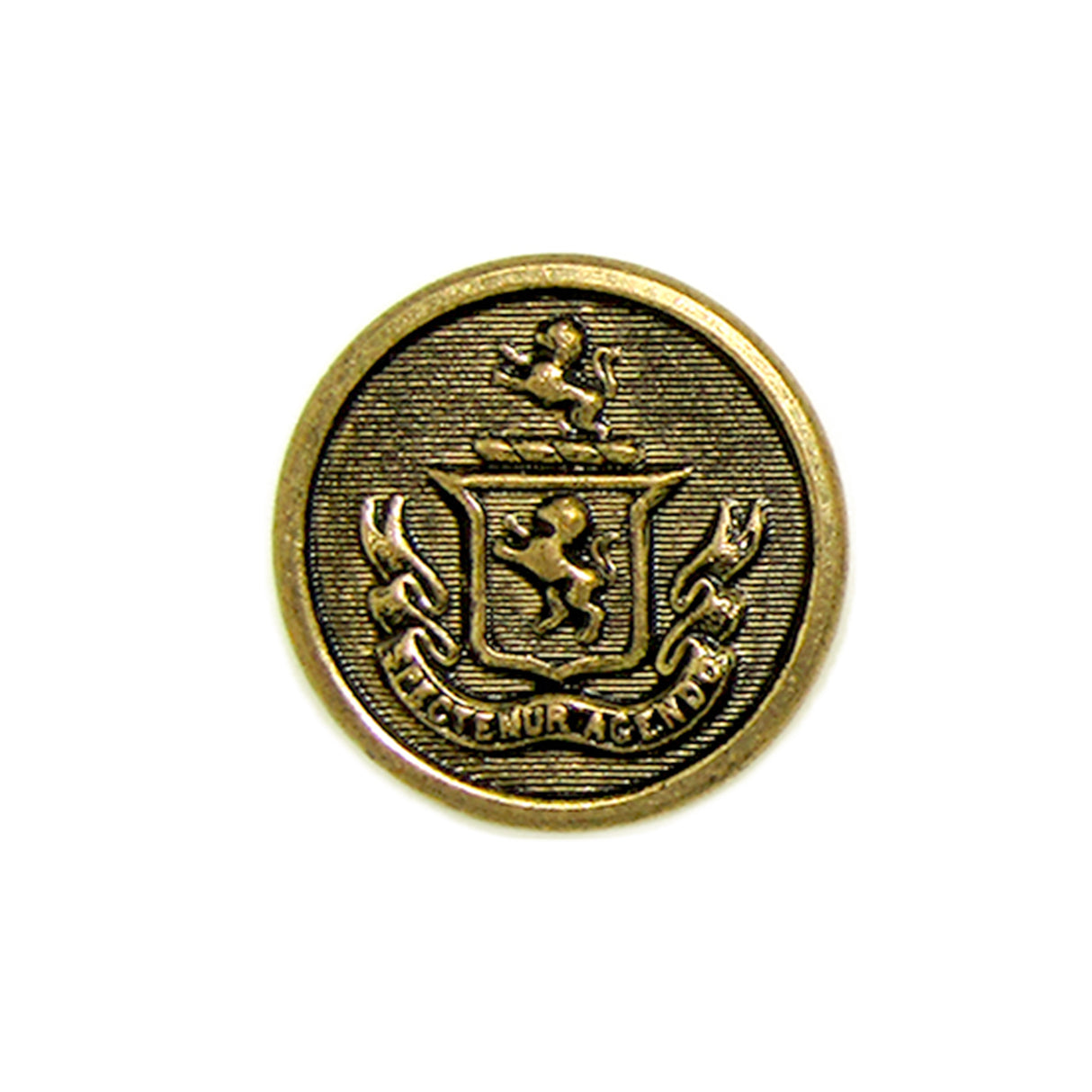 Lion Crest Design Metal Blazer Button featuring a brass lion crest and "Faciemur Agendo" banner on a textured background—perfect as a stylish replacement for your blazer.
