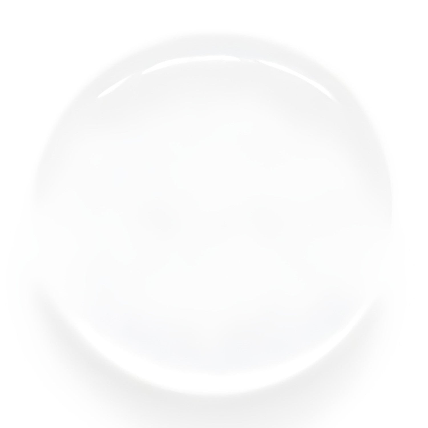 A clean, empty, white plate on a white background, evoking the elegant simplicity of Flat Bridal Trim and Bustle Buttons.