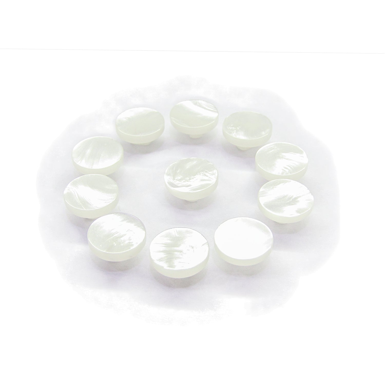 Twelve Flat Bridal Trim and Bustle Buttons, round, white, and shiny, arranged in a circle on a white background.