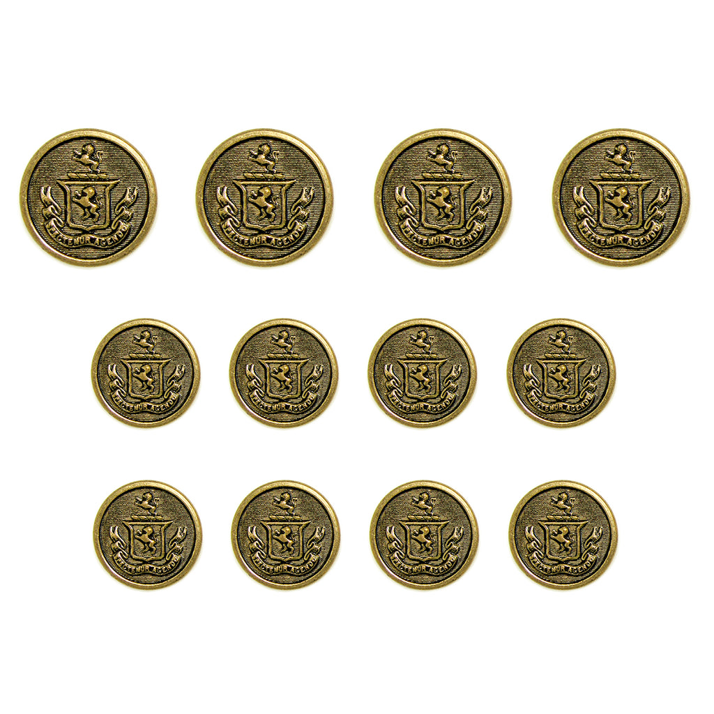 Lion Crest Design Metal Blazer Buttons