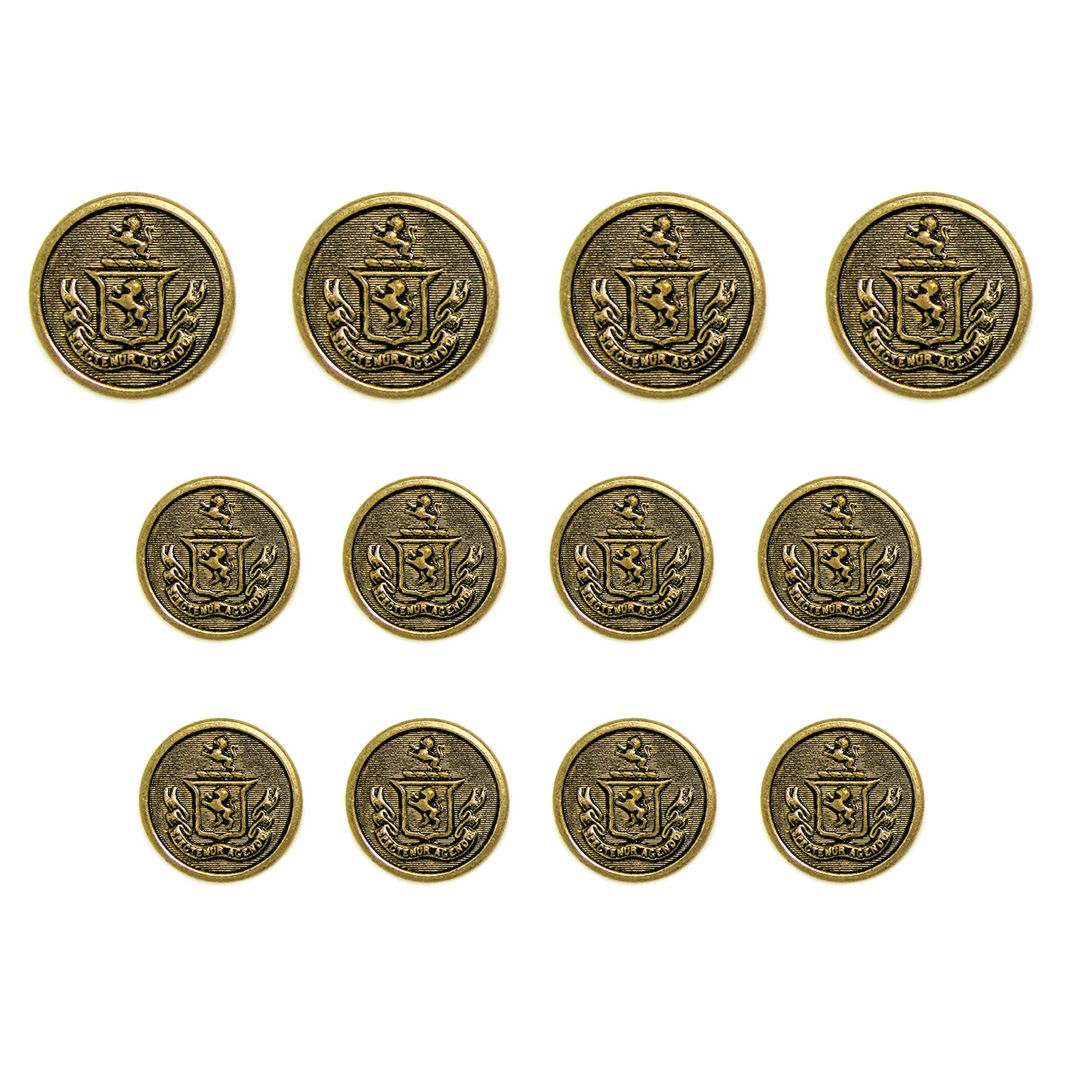 Lion Crest Design Metal Blazer Buttons