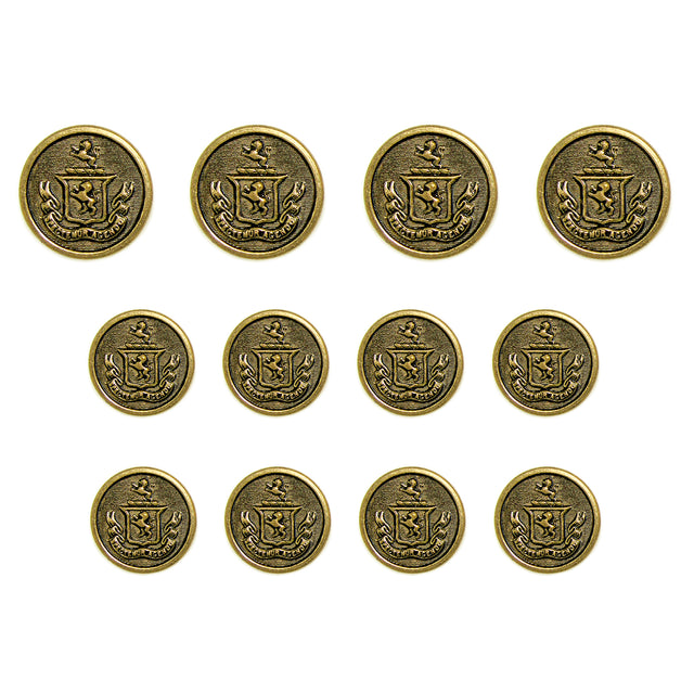 Eleven Lion Crest Design Metal Blazer Buttons displayed in three rows on a white background—ideal as replacement blazer buttons to achieve a timeless, classic style.