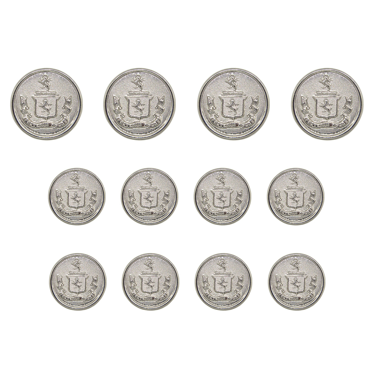 Twelve identical Lion Crest Design Metal Blazer Buttons, displayed in three rows on a white background.
