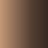 A seamless gradient shifts from light brown on the left to dark brown on the right, echoing the timeless style of Premium Suit Buttons.