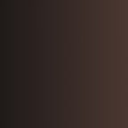A dark gradient background shifts from black to brown, subtly evoking the classic style found in Khakis, Chinos and Casual Cotton Pant Buttons.