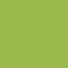 Solid light green background, ideal for showcasing Replacement Shirt Buttons—perfect for highlighting poly-nylon and other durable shirt buttons.