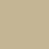 A plain solid beige background inspired by the subtle elegance of Basic Suit Buttons, featuring no visible objects or patterns.