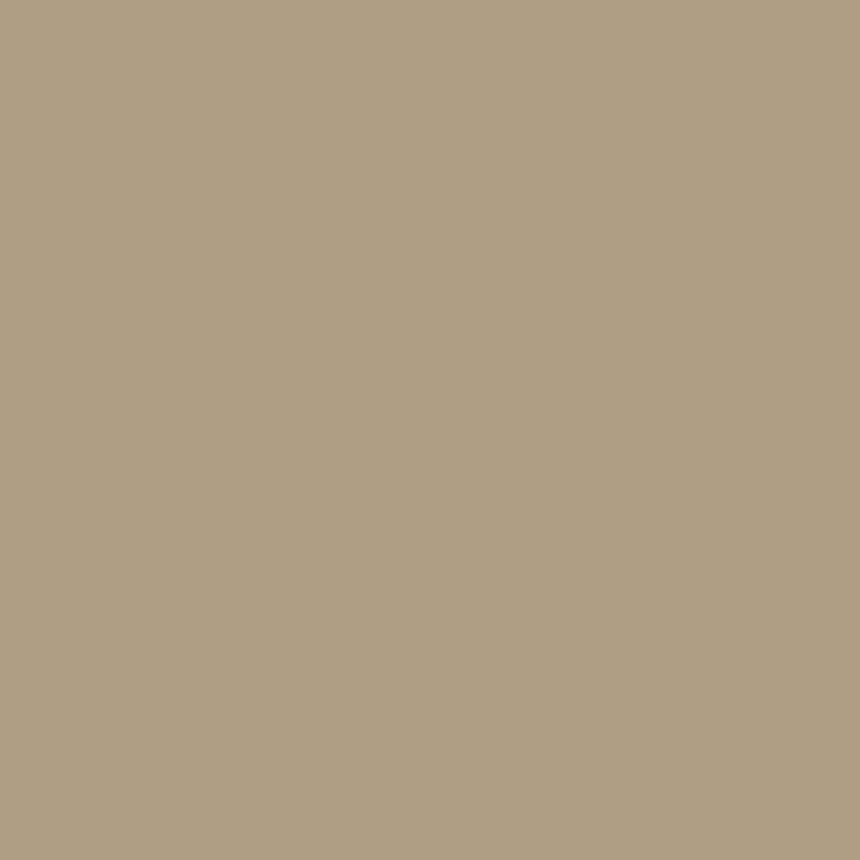 A plain light tan or beige background highlights Basic Suit Buttons, ideal for displaying poly-nylon blazer or suit buttons without distractions.